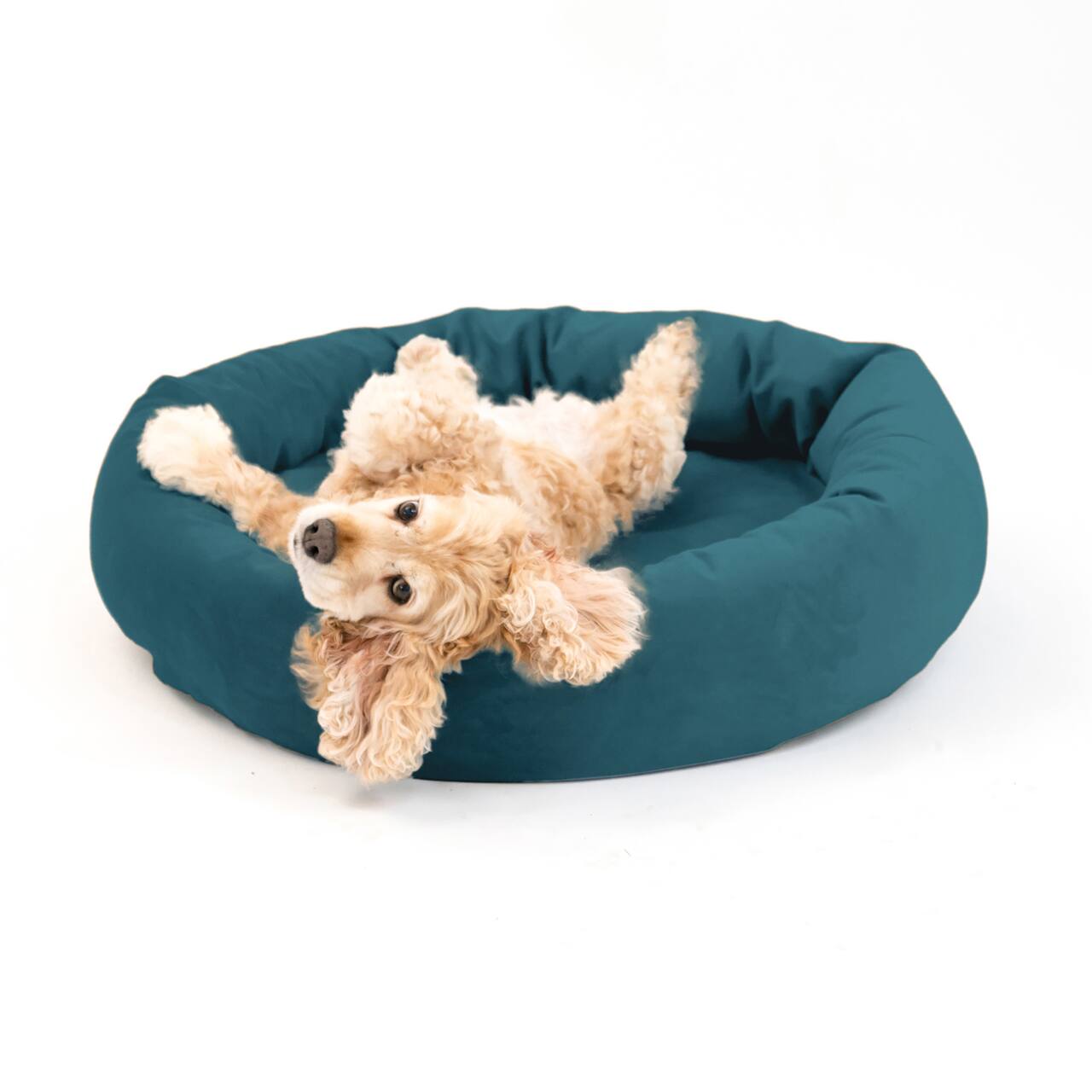 Royal Pet Bed Medium Washable Luxury Velvet Dog Bed